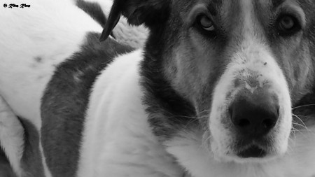 RITA RICO - EXIF: não disponível